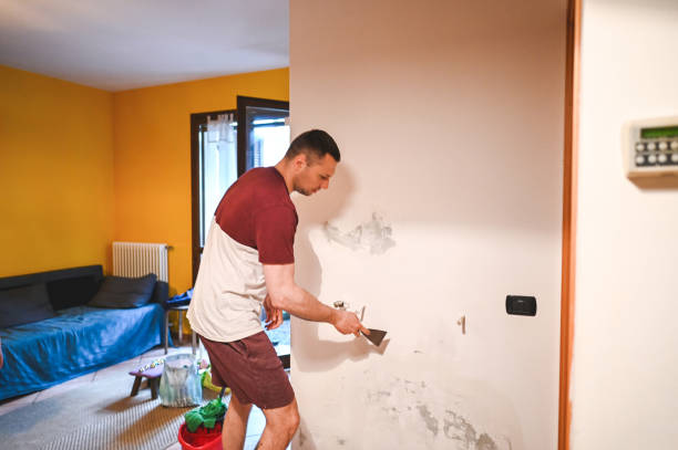 Best Crawl Space Mold Remediation in Springfield, VA
